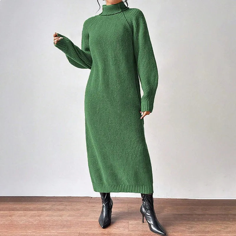 Marisela Turtleneck Sweater Dress