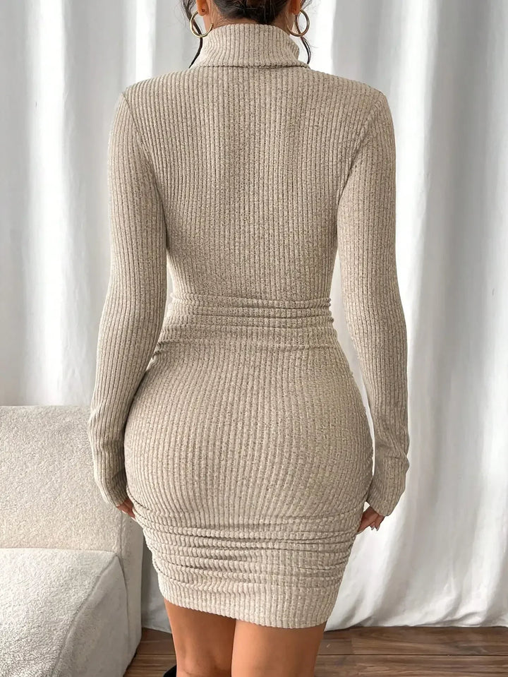 Adrienne Ribbed Turtleneck Dress