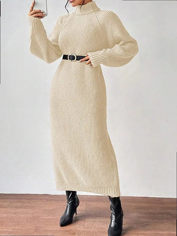 Marisela Turtleneck Sweater Dress