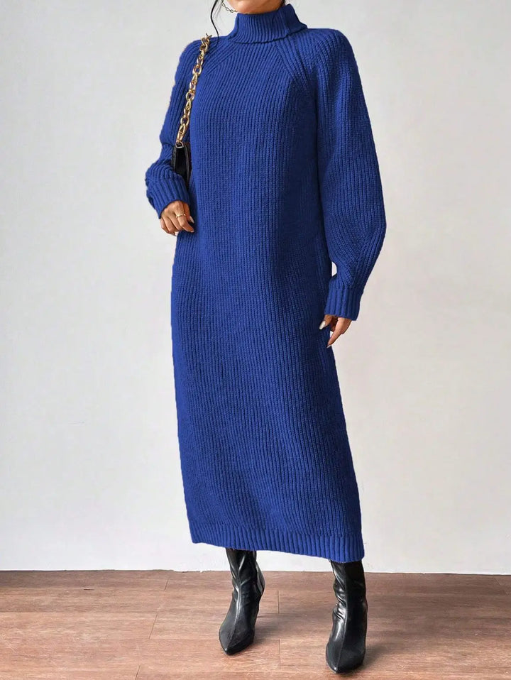 Marisela Turtleneck Sweater Dress
