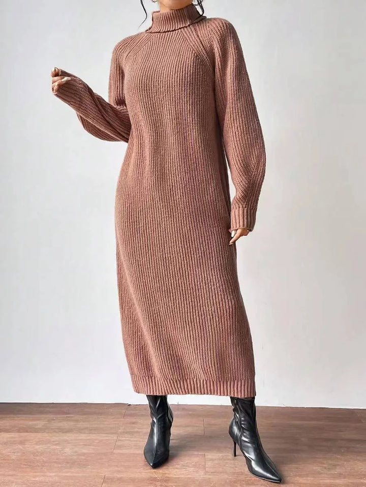 Marisela Turtleneck Sweater Dress