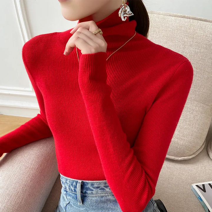 Zarina Cashmere Turtleneck