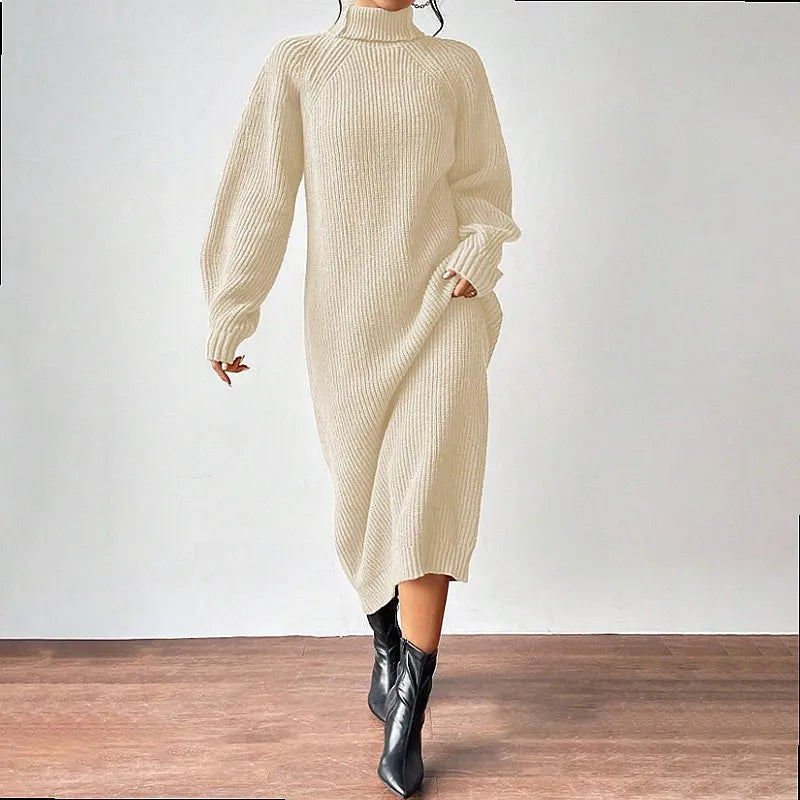 Marisela Turtleneck Sweater Dress