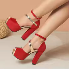 Araceli Chunky Heel Ankle Strap Sandals