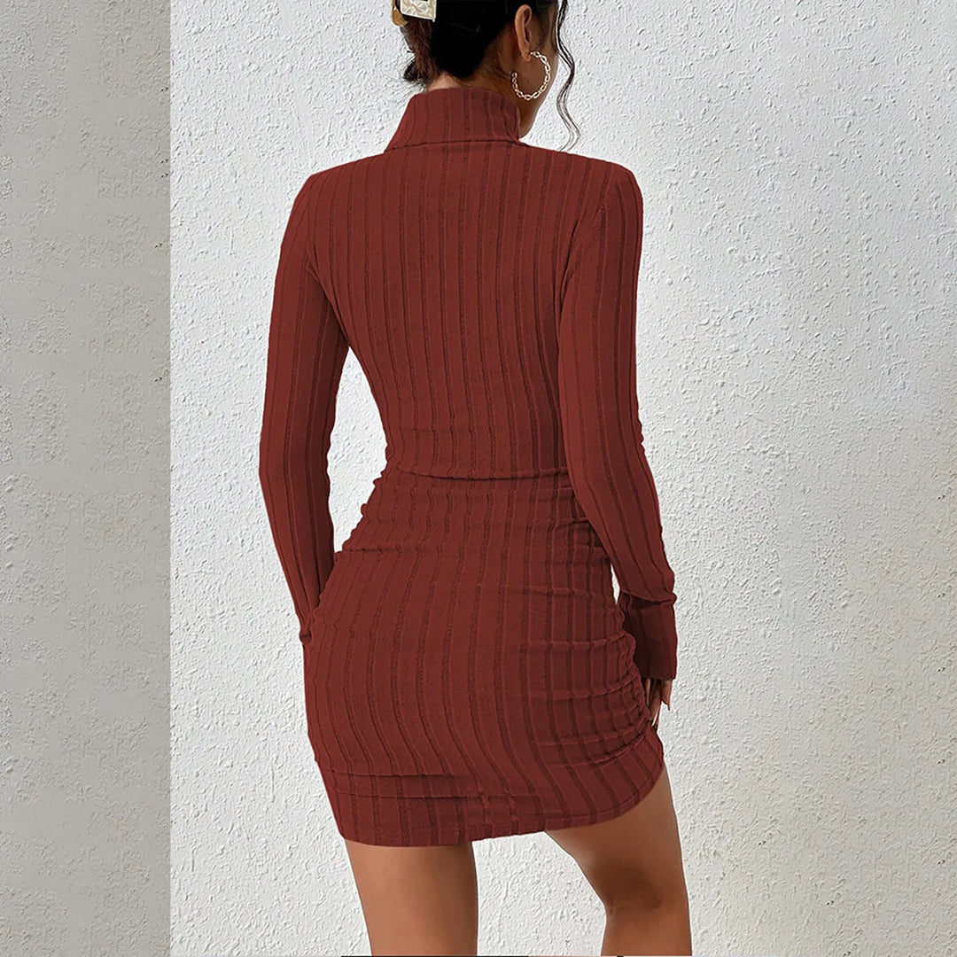 Fenella Turtleneck Sheath Dress