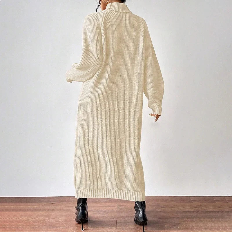 Marisela Turtleneck Sweater Dress