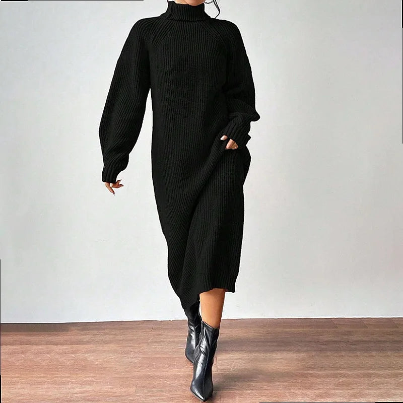 Marisela Turtleneck Sweater Dress