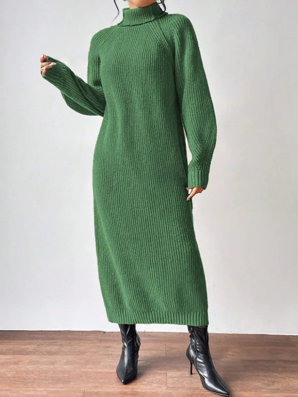 Marisela Turtleneck Sweater Dress